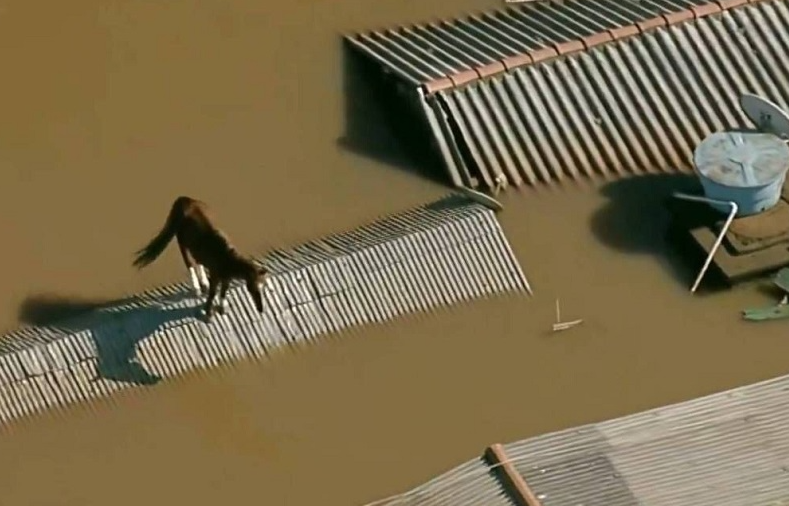 Foto: Governo do Estado de São Paulo.