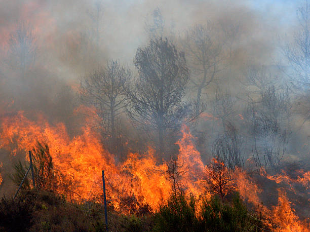 Imagem Ilustrativa. Foto: Getty Images