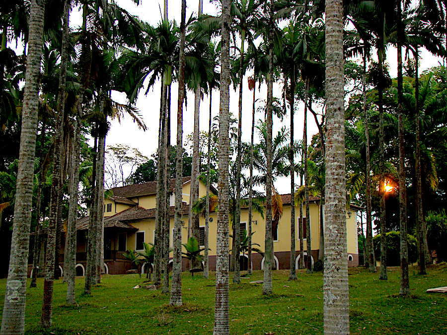 FEENA. Foto: Visite Rio Claro.