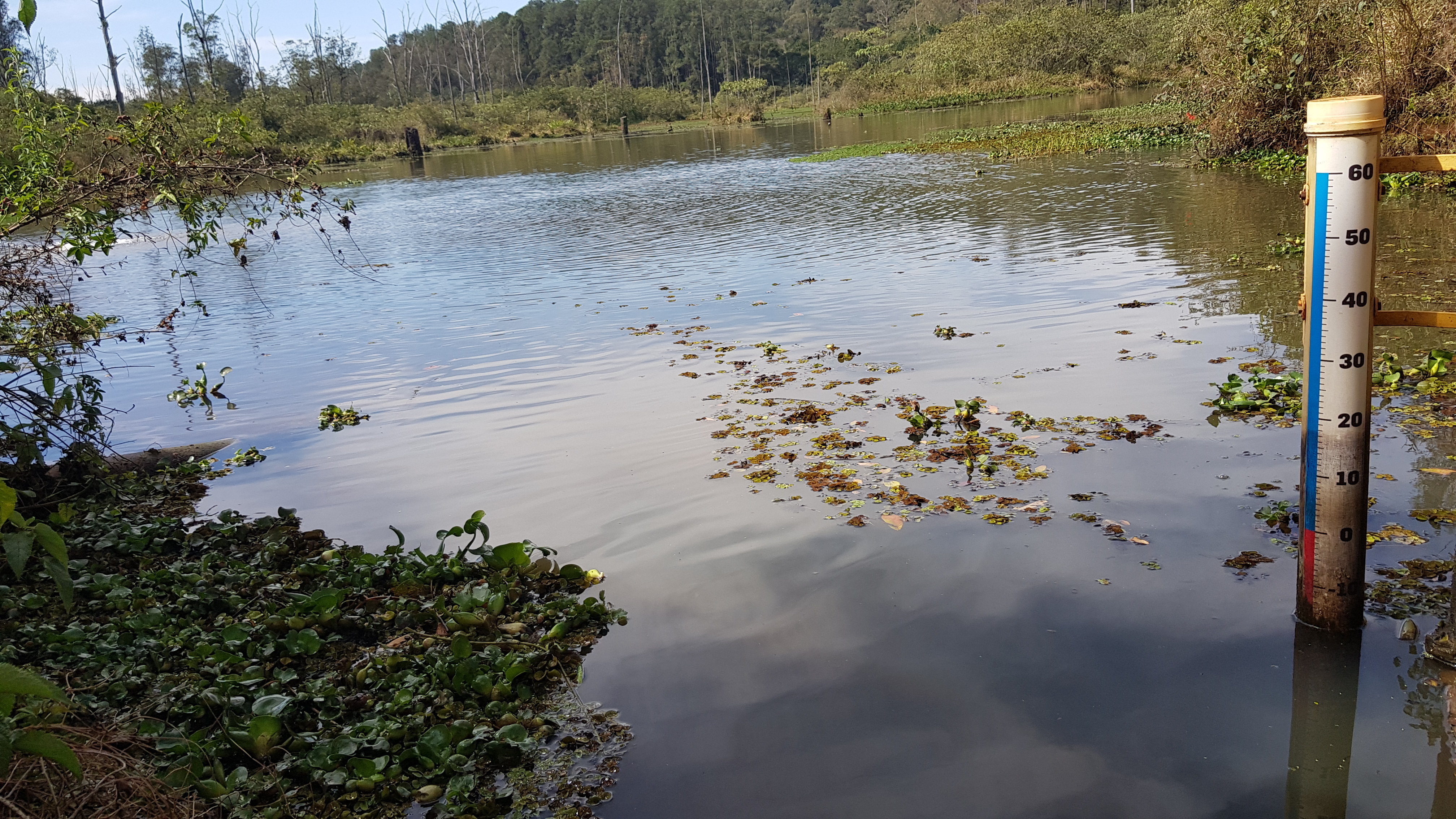 Foto: Prefeitura de Rio Claro.