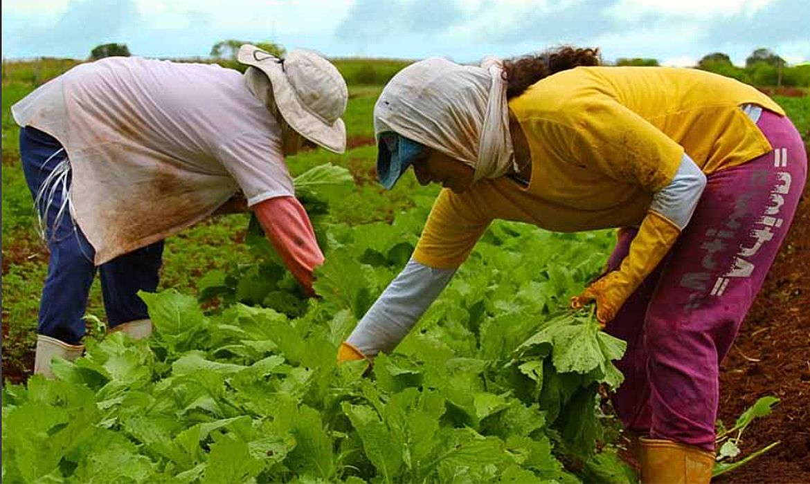 Foto: Agência Brasil - EBC