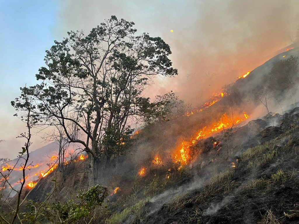 Foto: Agência São Paulo.