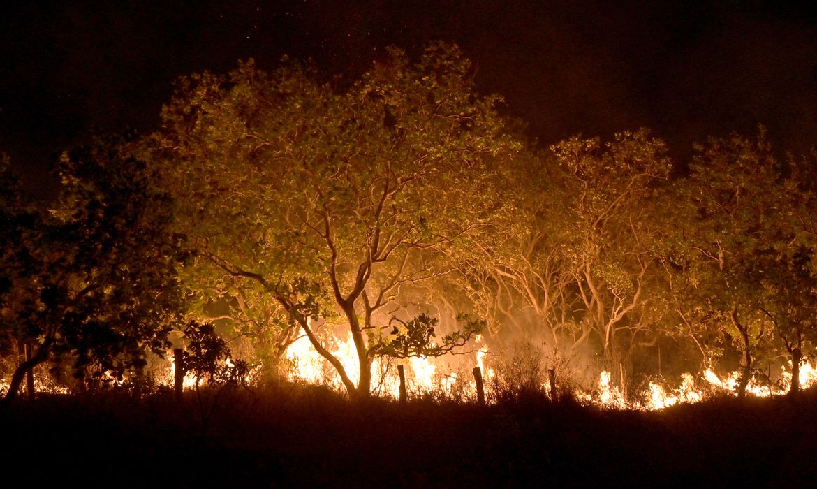 Foto: Agência Brasil - EBC