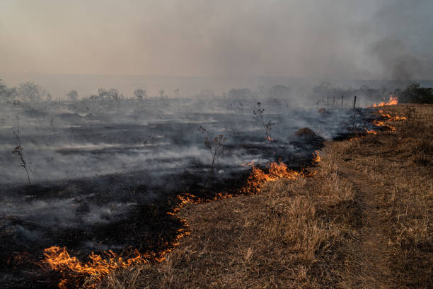 Imagem Ilustrativa. Foto: Getty Images