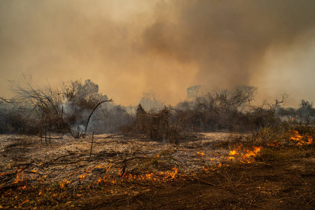 Imagem Ilustrativa. Foto: Getty Images