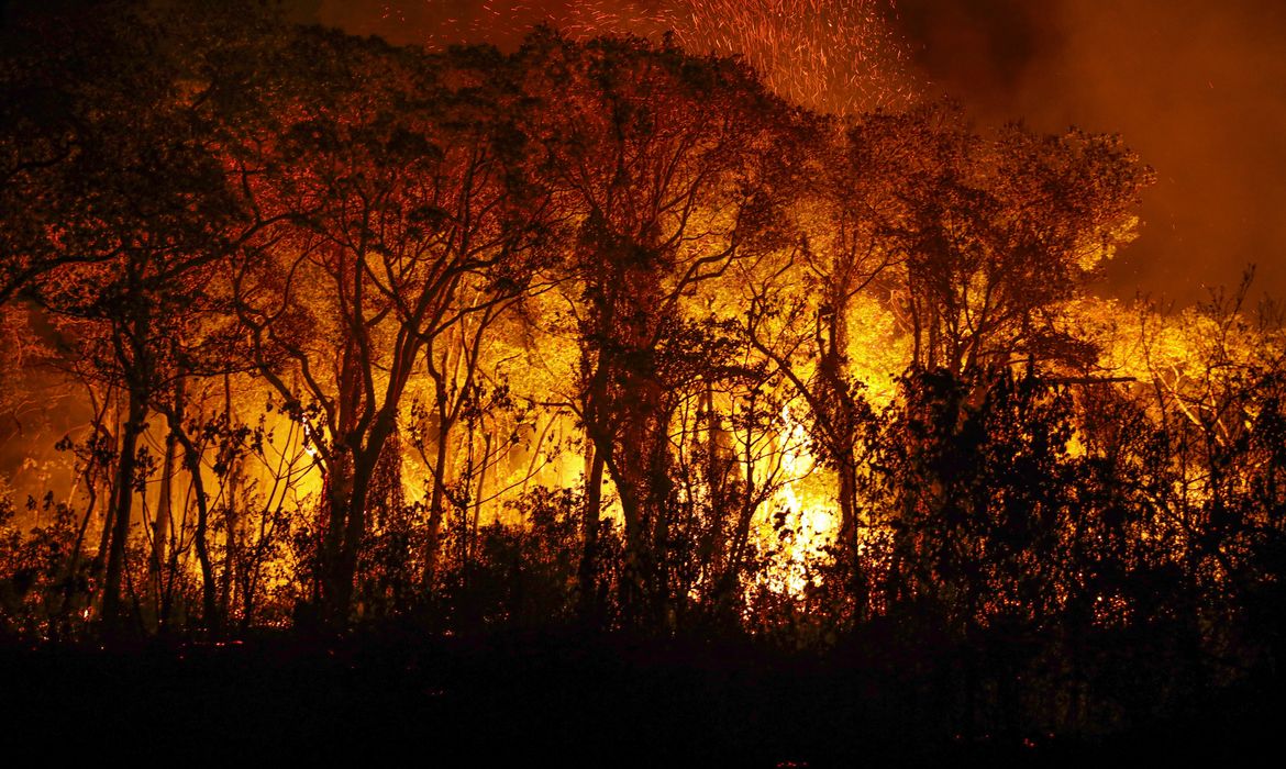 Foto: Agência Brasil - EBC