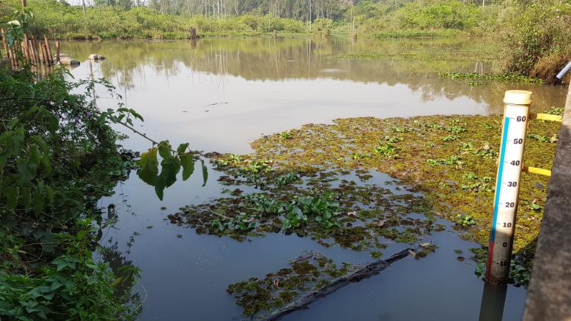 Foto: Prefeitura de Rio Claro.