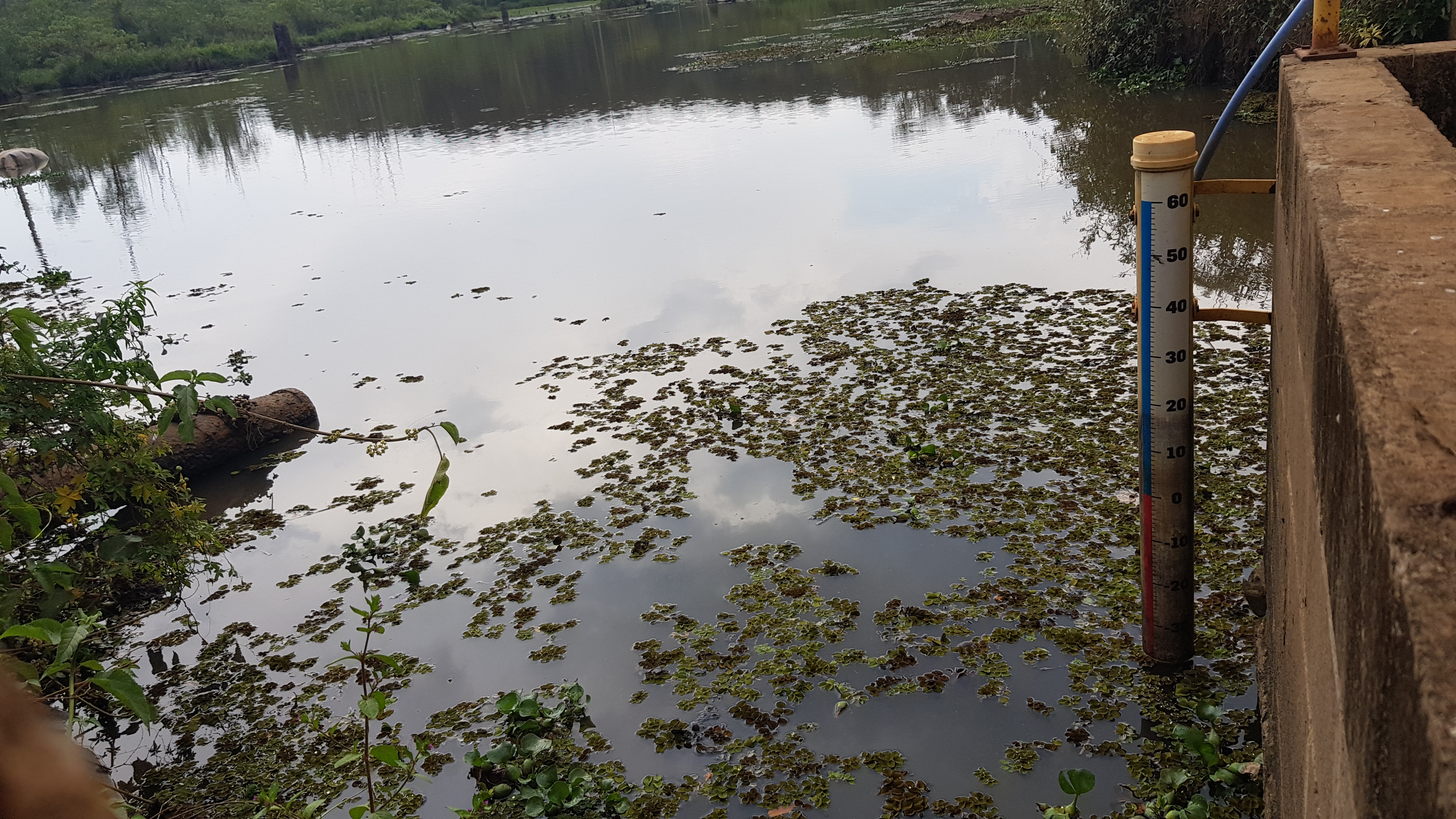 Foto: Prefeitura de Rio Claro.