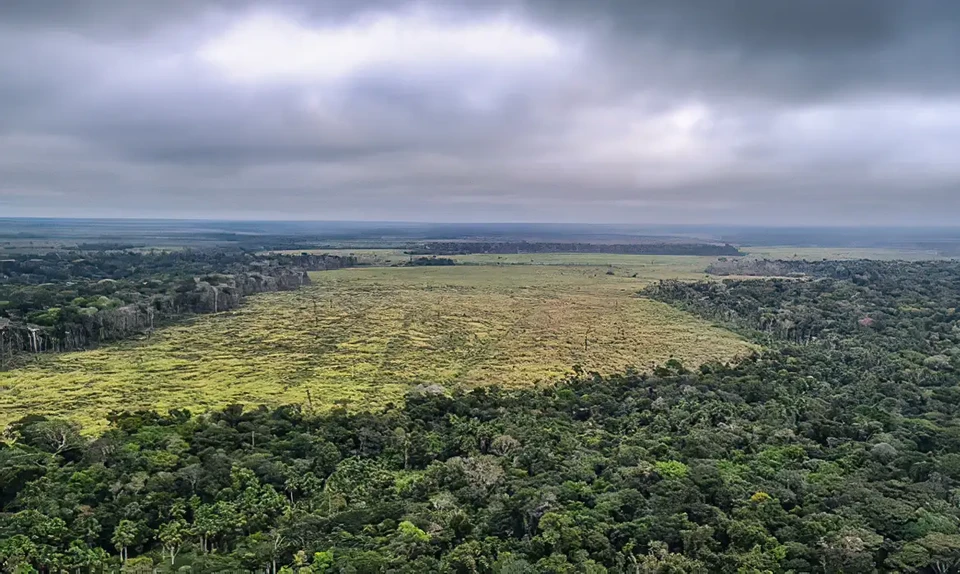 Foto: Diario de Pernambuco