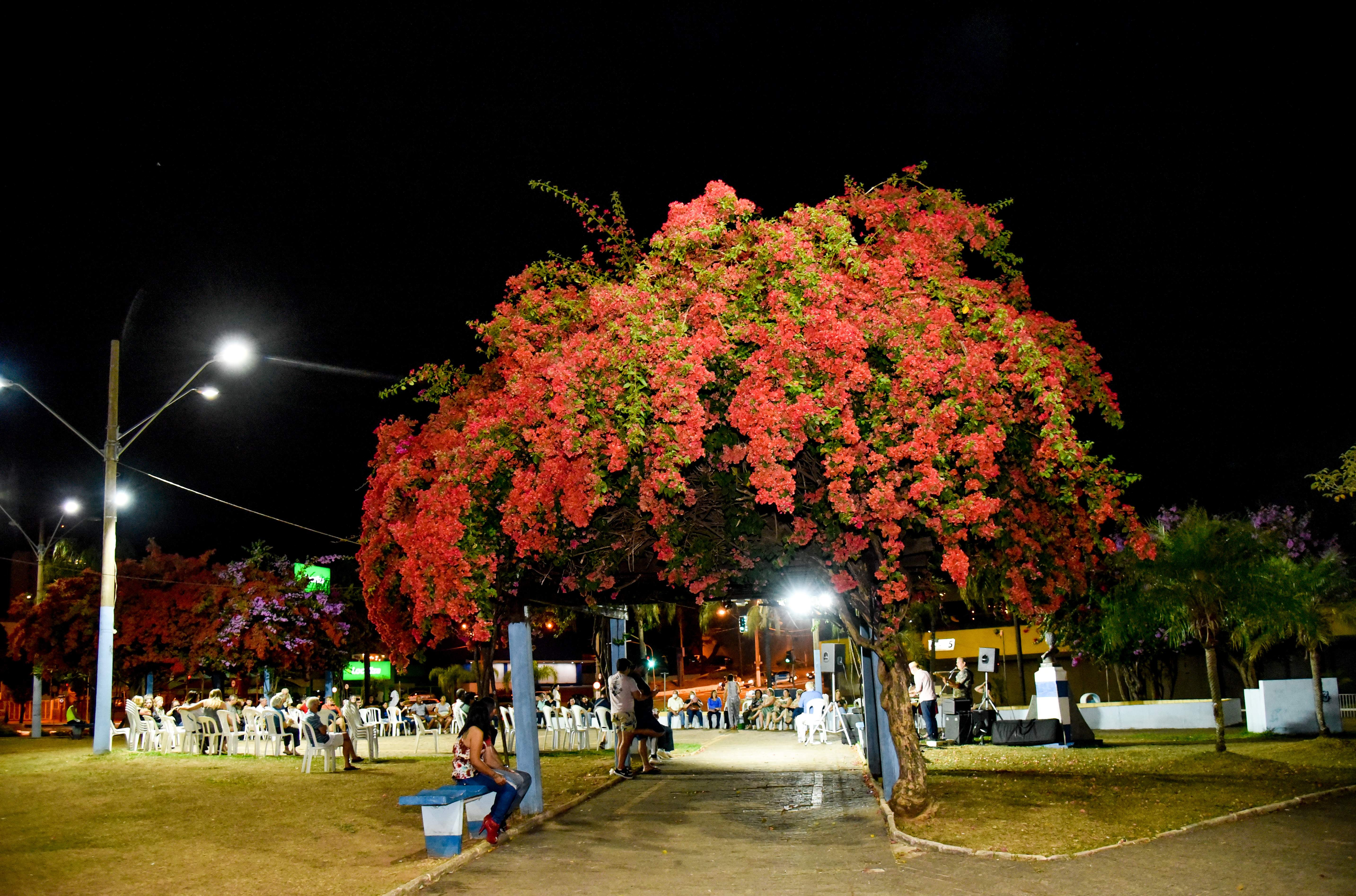 Foto: Prefeitura de Rio Claro.